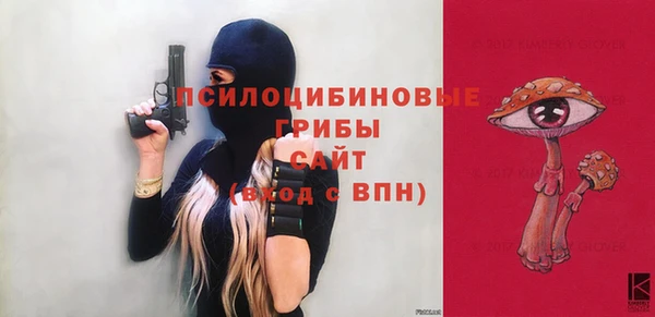 apvp Белокуриха
