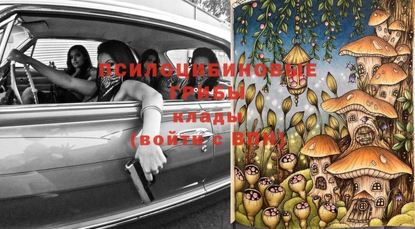 apvp Белокуриха