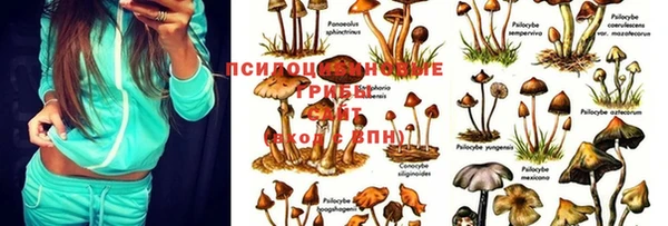 бутират Белоозёрский